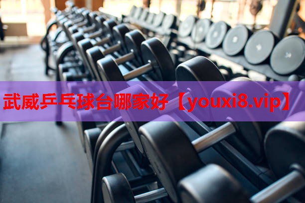 武威乒乓球台哪家好