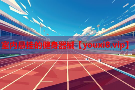 室内悬挂的健身器械