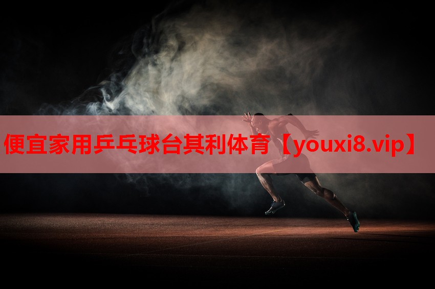 便宜家用乒乓球台其利体育
