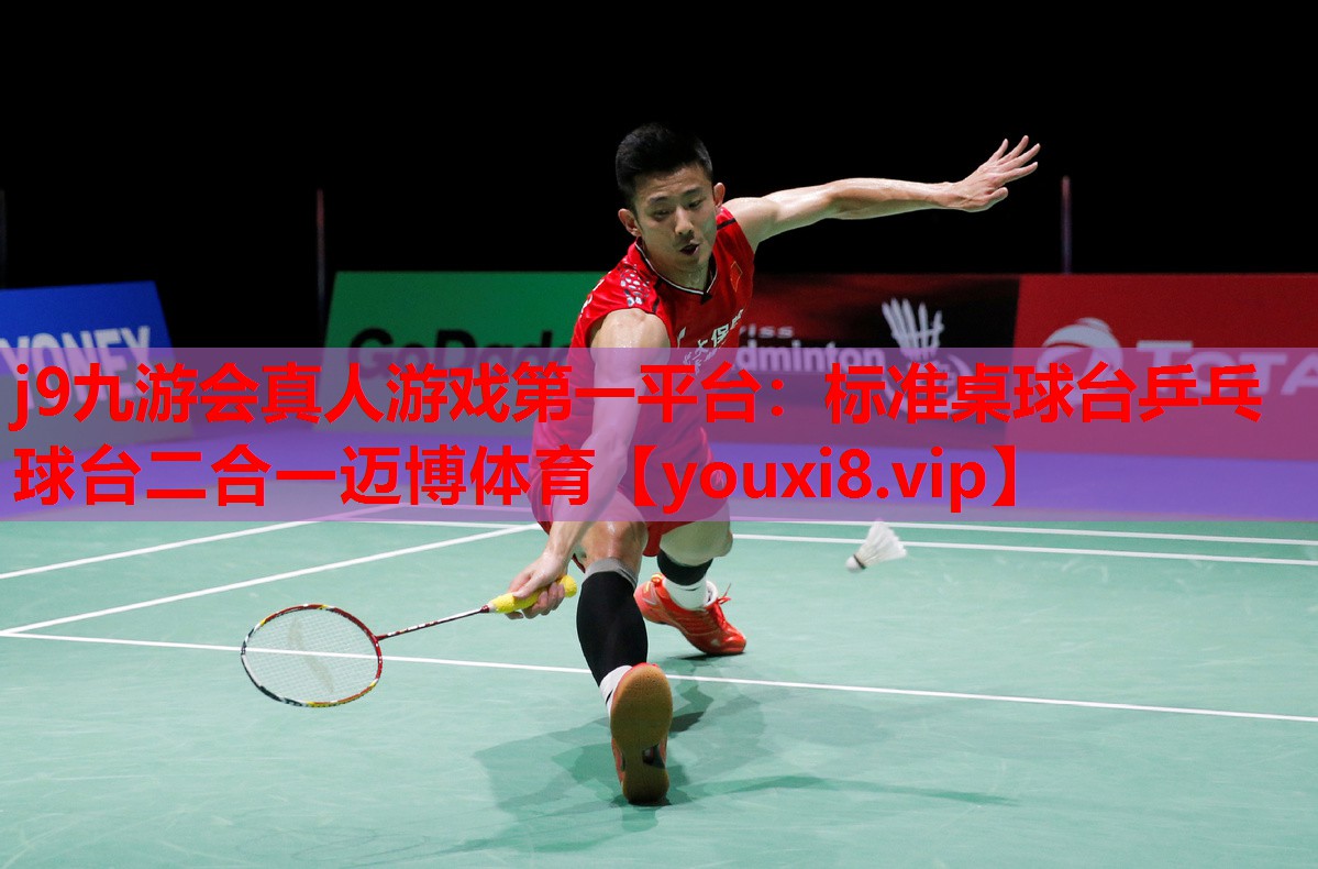 j9九游会真人游戏第一平台：标准桌球台乒乓球台二合一迈博体育