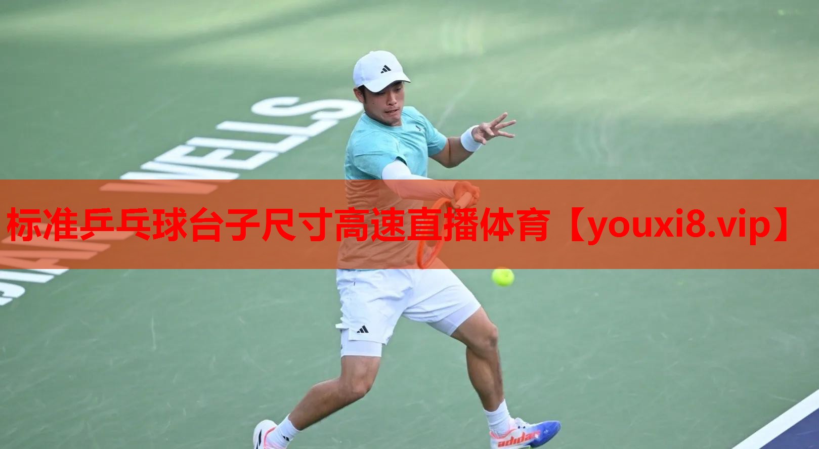 标准乒乓球台子尺寸高速直播体育