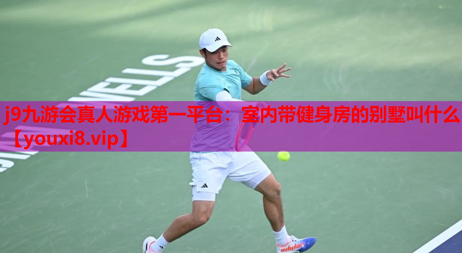 室内带健身房的别墅叫什么 室内带健身房的别墅叫什么