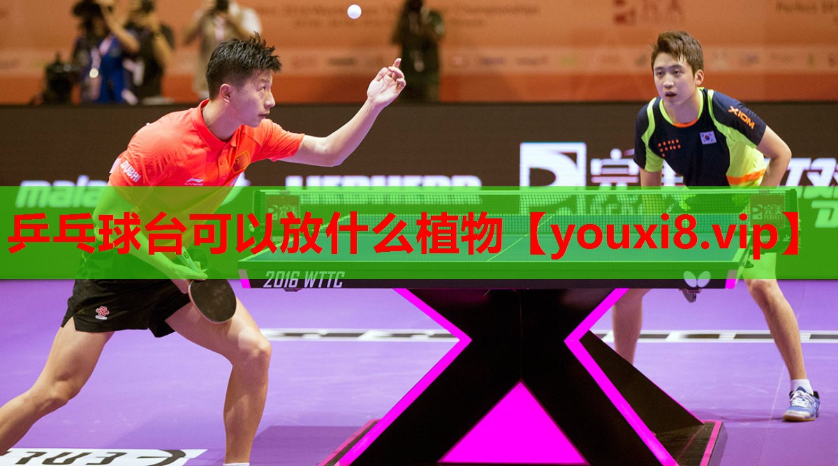 乒乓球台可以放什么植物 乒乓球台可以放什么植物