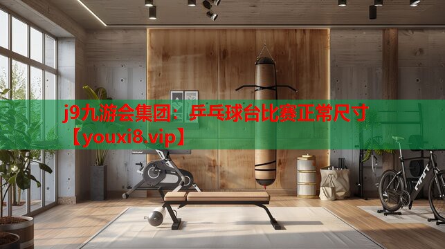 乒乓球台比赛正常尺寸