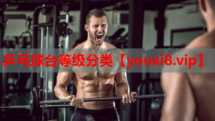 乒乓球台等级分类 乒乓球台等级分类