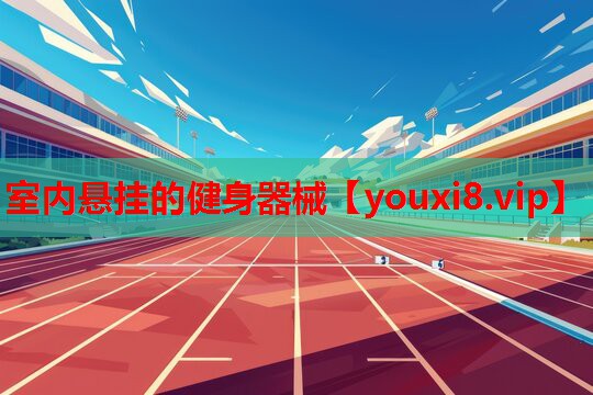 室内悬挂的健身器械